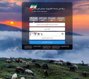 سامانه مودیان مالیاتی را از سیر تا پیاز بشناسید